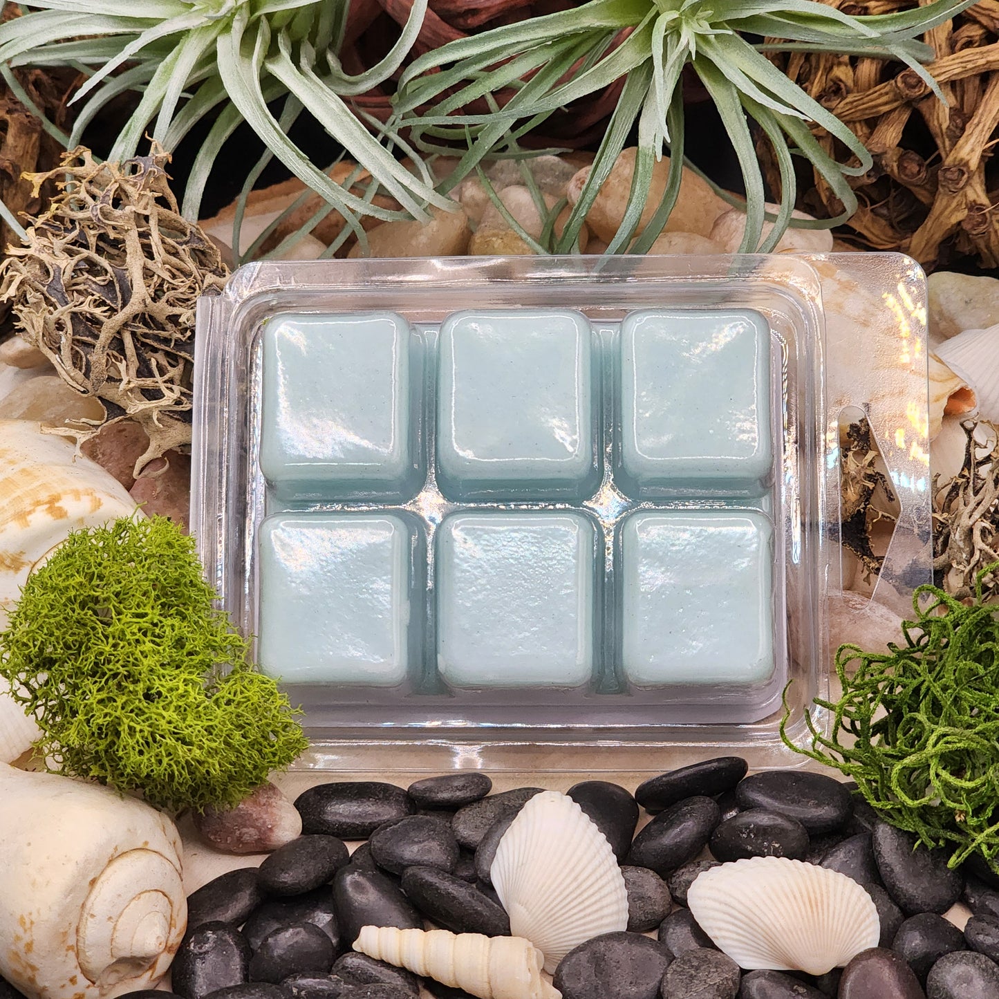 CARIBBEAN DREAM Wax Melts