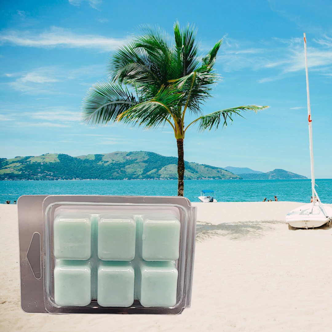 CARIBBEAN DREAM Wax Melts