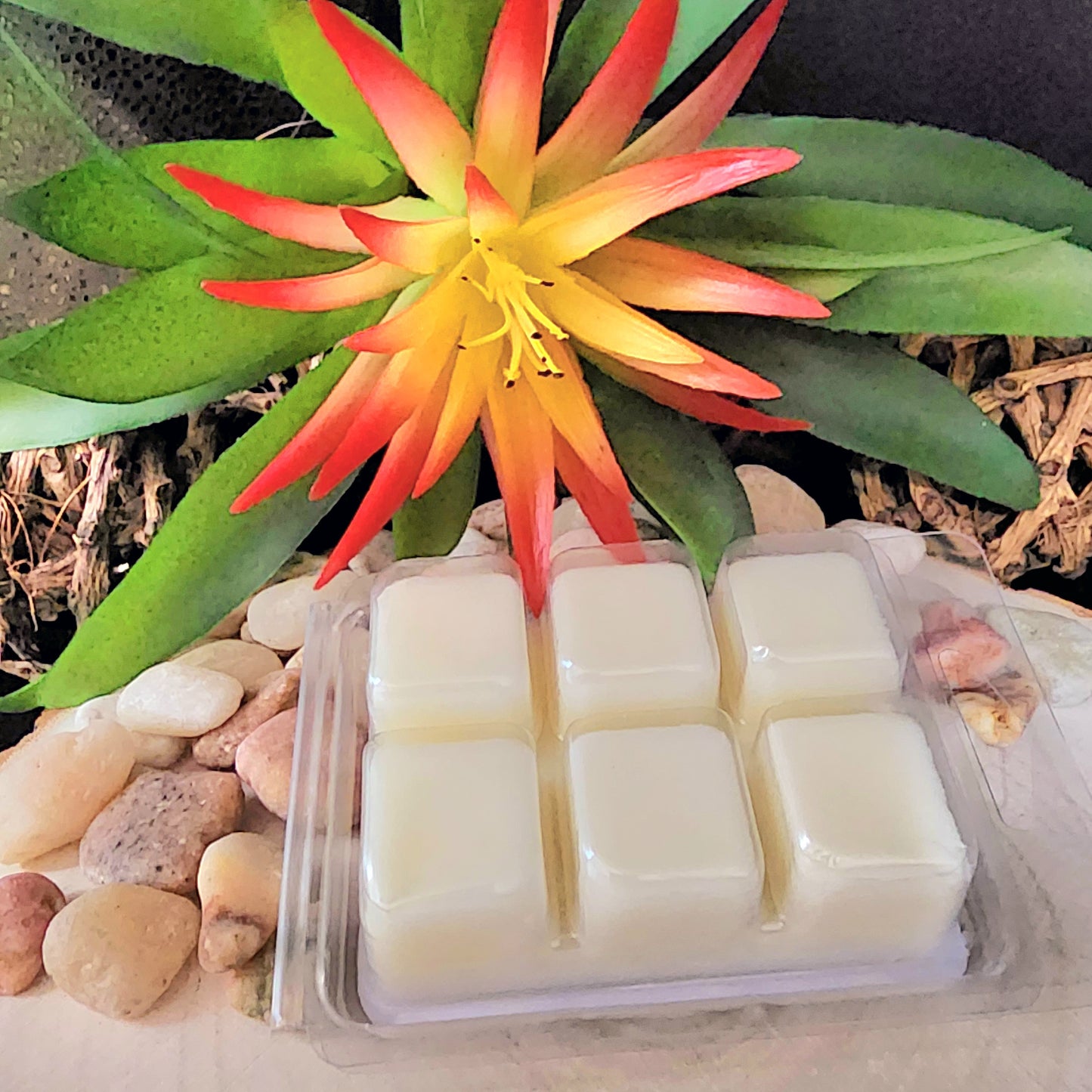 SERENDIPITY BLISS Wax Melts